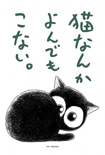Cats Don't Come When Called