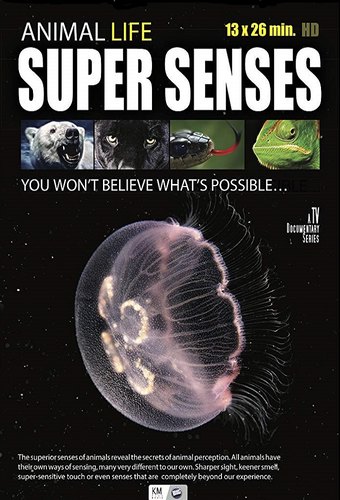 Super Senses
