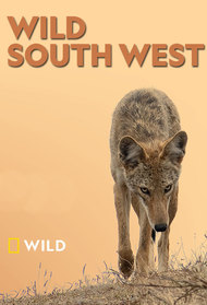 Wild South West