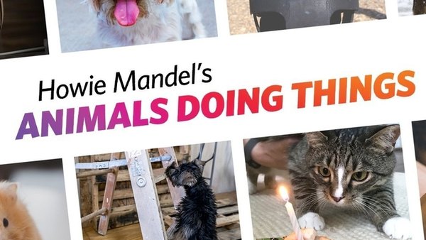 Howie Mandel's Animals Doing Things - S02E05 - How to Train Your Bearded Dragon
