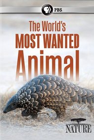 The World's Most Wanted Animal