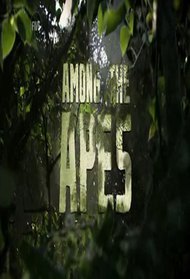 Among The Apes