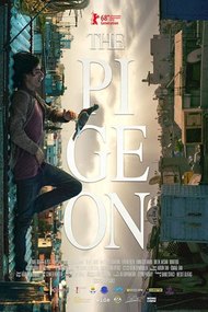 The Pigeon