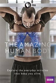 The Amazing Human Body