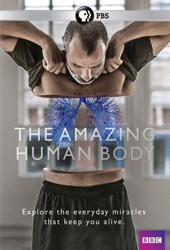 The Amazing Human Body