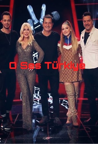 The Voice (TR)