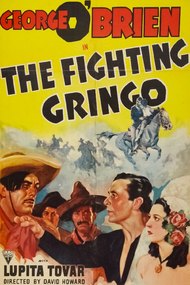 The Fighting Gringo
