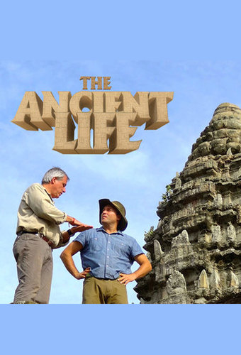 The Ancient Life