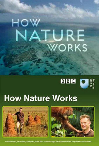 How Nature Works