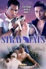 Stray Cats