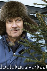 Joulukuusivarkaat