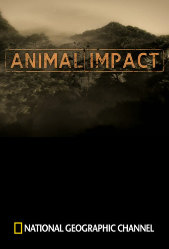 Animal Impact