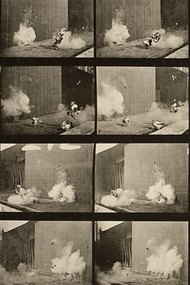 Chickens Scared by Torpedo