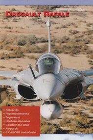 Combat in the Air - Dassault Rafale