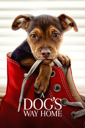 /movies/775148/a-dogs-way-home