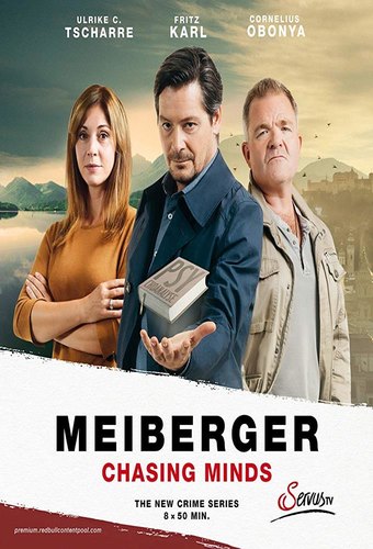 Meiberger - Chasing Minds