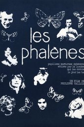 Les phalènes