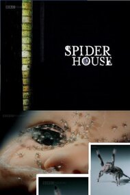 Spider House