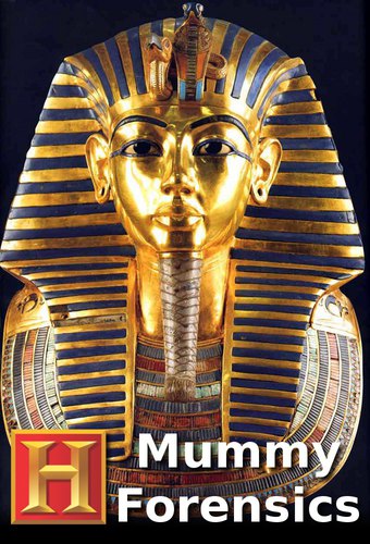 Mummy Forensics