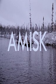 Amisk