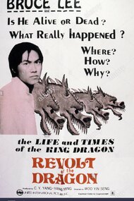 Revolt of the Dragon