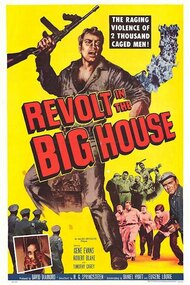 Revolt in the Big House