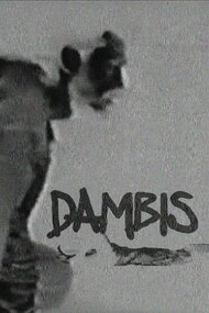 Dambis