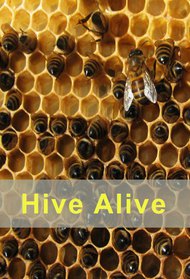 Hive Alive