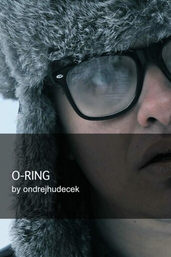 O-Ring
