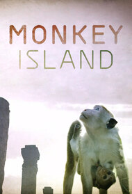 Monkey Island