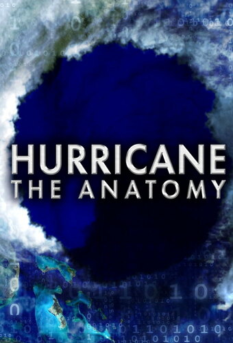 Hurricane: The Anatomy