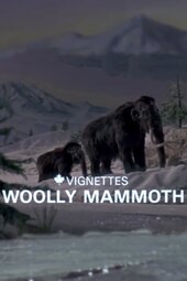 Canada Vignettes: Woolly Mammoth