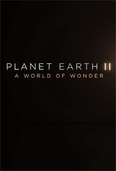 Planet Earth II: A World of Wonder