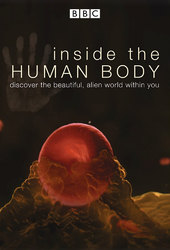 Inside the Human Body