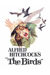 /movies/53930/the-birds