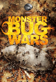 Monster Bug Wars!