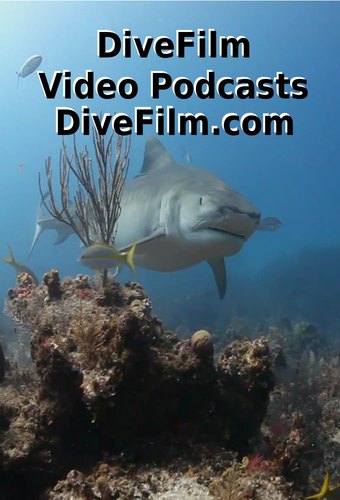 DiveFilm