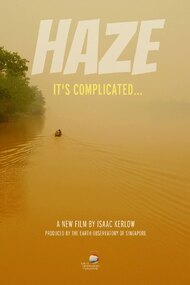 HAZE: It's Complicated