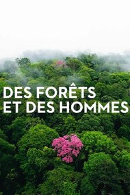 Forests and People