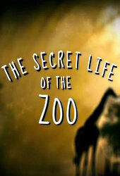 The Secret Life of the Zoo