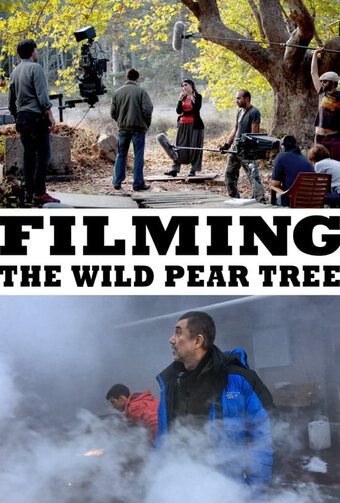 Making of The Wild Pear Tree