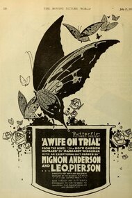 A Wife on Trial