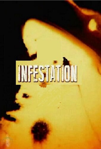 Infestation