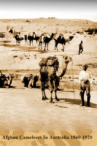 Afghan Cameleer in Australian from 1860-1920