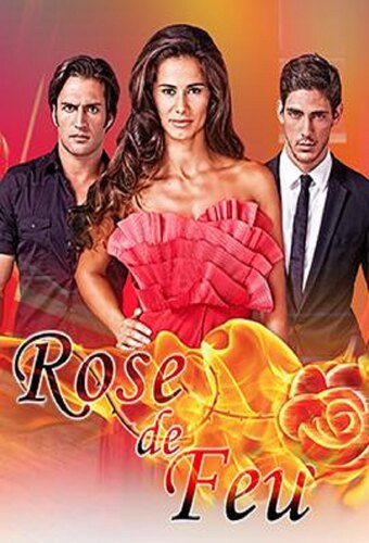 Rosa Fogo