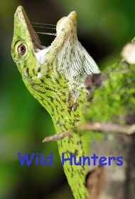 Wild Hunters