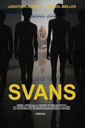 Swans