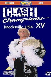 WCW Clash of the Champions XV: Knocksville USA