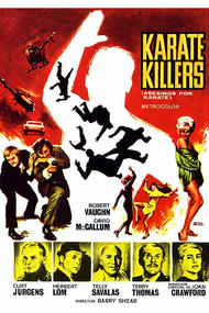 The Karate Killers