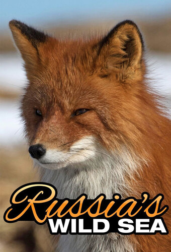Russia's Wild Sea